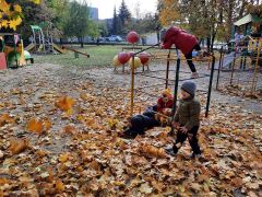 większy obrazek nr 9