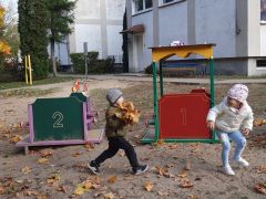 większy obrazek nr 10