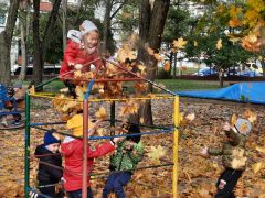 większy obrazek nr 11