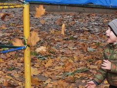 większy obrazek nr 12