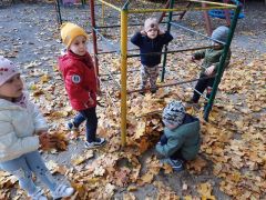 większy obrazek nr 13