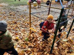 większy obrazek nr 14