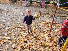 większy obrazek nr 15