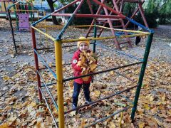 większy obrazek nr 16