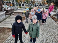 większy obrazek nr 1