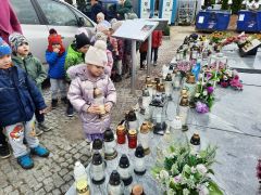 większy obrazek nr 3