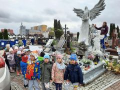 większy obrazek nr 7