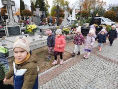 większy obrazek nr 11