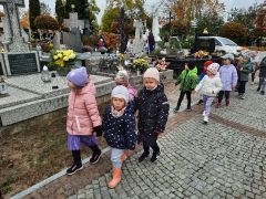 większy obrazek nr 12