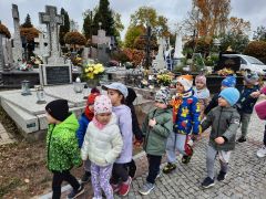 większy obrazek nr 13