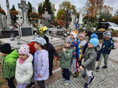 większy obrazek nr 14