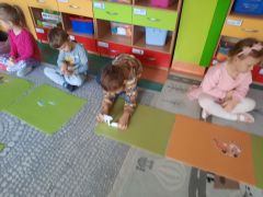 większy obrazek nr 7