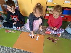 większy obrazek nr 11