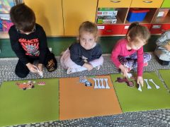 większy obrazek nr 17