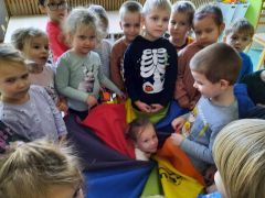 większy obrazek nr 2