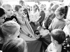 większy obrazek nr 14