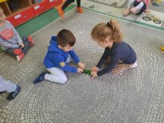 większy obrazek nr 20