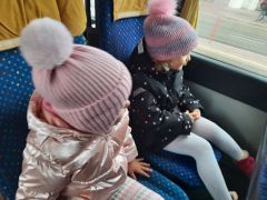 większy obrazek nr 2