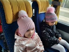 większy obrazek nr 3