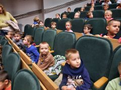 większy obrazek nr 8