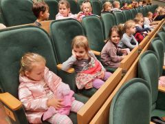 większy obrazek nr 9