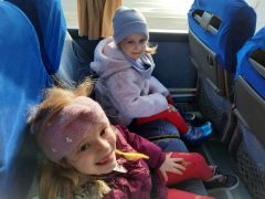 większy obrazek nr 7