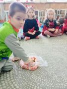 większy obrazek nr 5