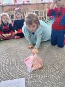 większy obrazek nr 12