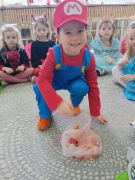 większy obrazek nr 14