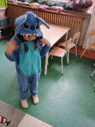 większy obrazek nr 48