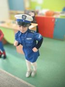 większy obrazek nr 99