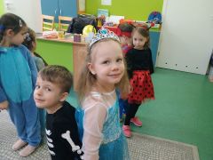 większy obrazek nr 48