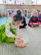 większy obrazek nr 73