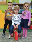 większy obrazek nr 28