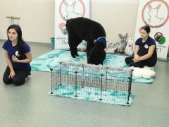 większy obrazek nr 1