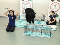 większy obrazek nr 2