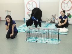 większy obrazek nr 3