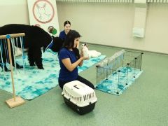 większy obrazek nr 5