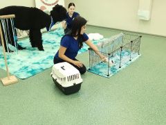 większy obrazek nr 6