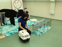 większy obrazek nr 7