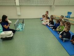 większy obrazek nr 8