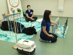 większy obrazek nr 10