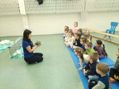 większy obrazek nr 11