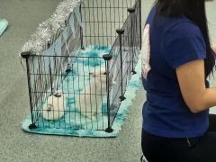 większy obrazek nr 15