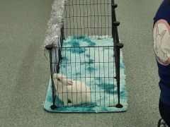 większy obrazek nr 16