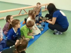 większy obrazek nr 20