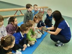 większy obrazek nr 21