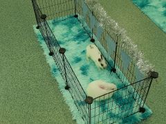 większy obrazek nr 22