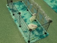 większy obrazek nr 23