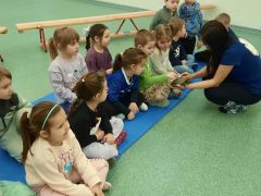 większy obrazek nr 24